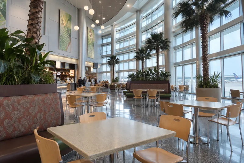 Tables and palm planters under a curved glass wall in an airport food court