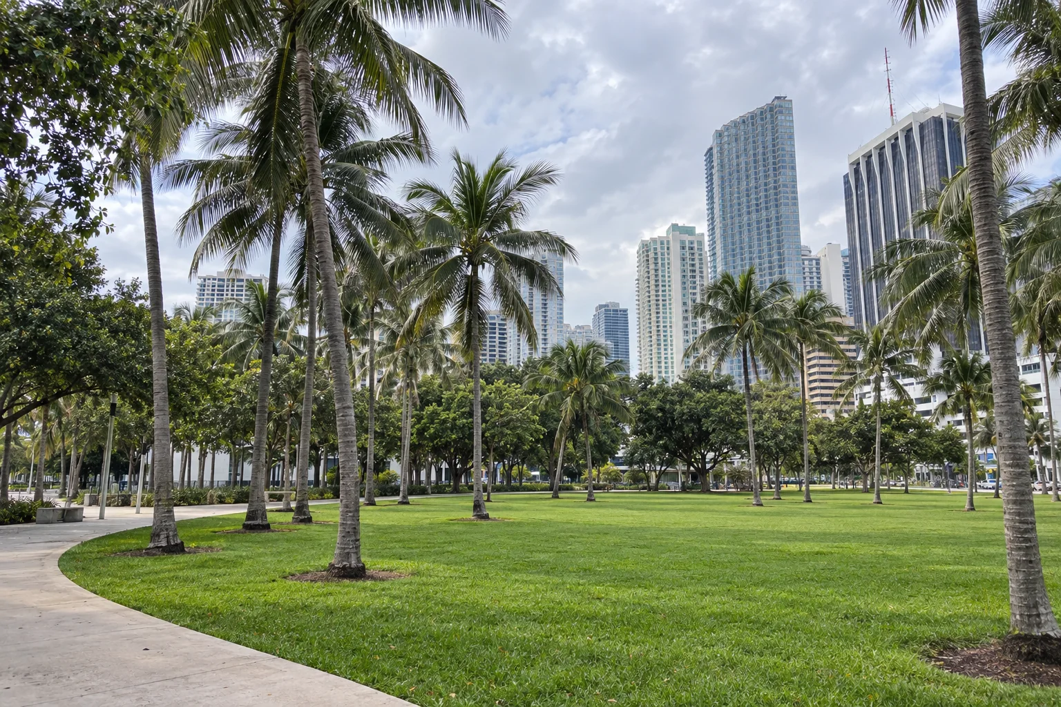 The lawn and palms of Bayfront Park with downtown towers behind