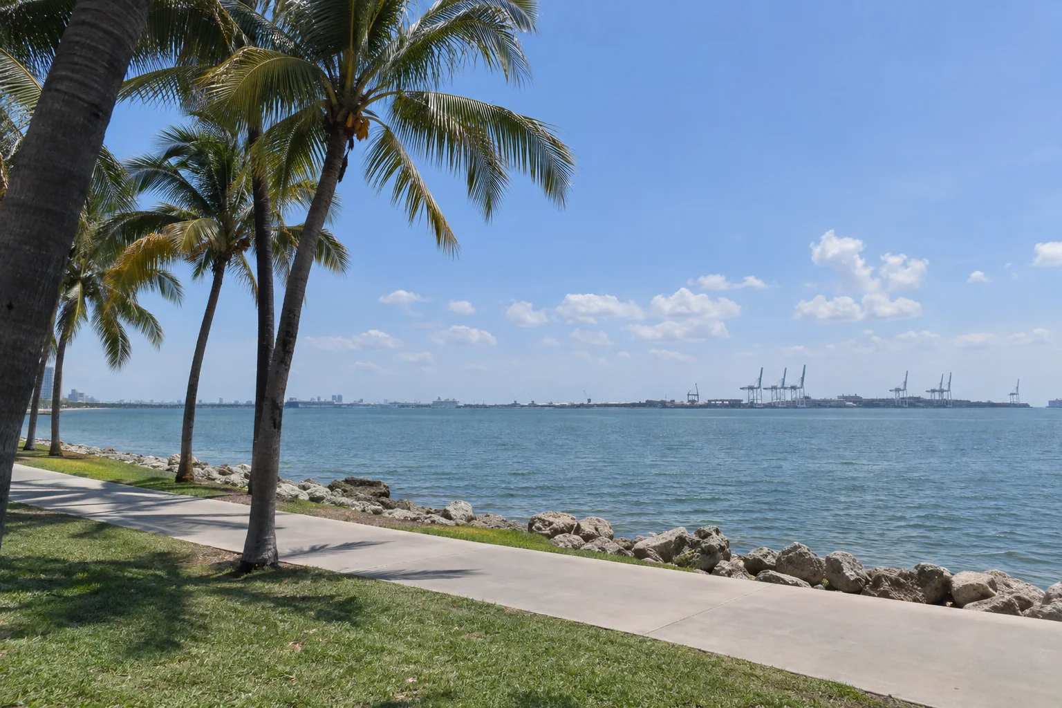 Palms along the Bayfront Park seawall, PortMiami beyond the bay