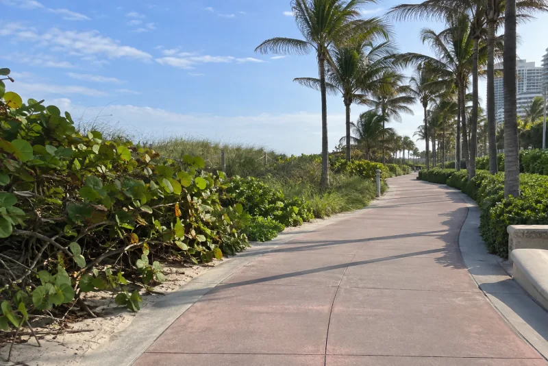 The Beachwalk path behind the dunes in Miami Beach