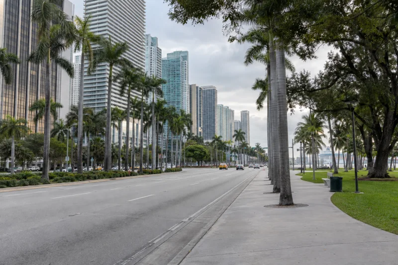 Palm-lined Biscayne Boulevard beside Bayfront Park in downtown Miami