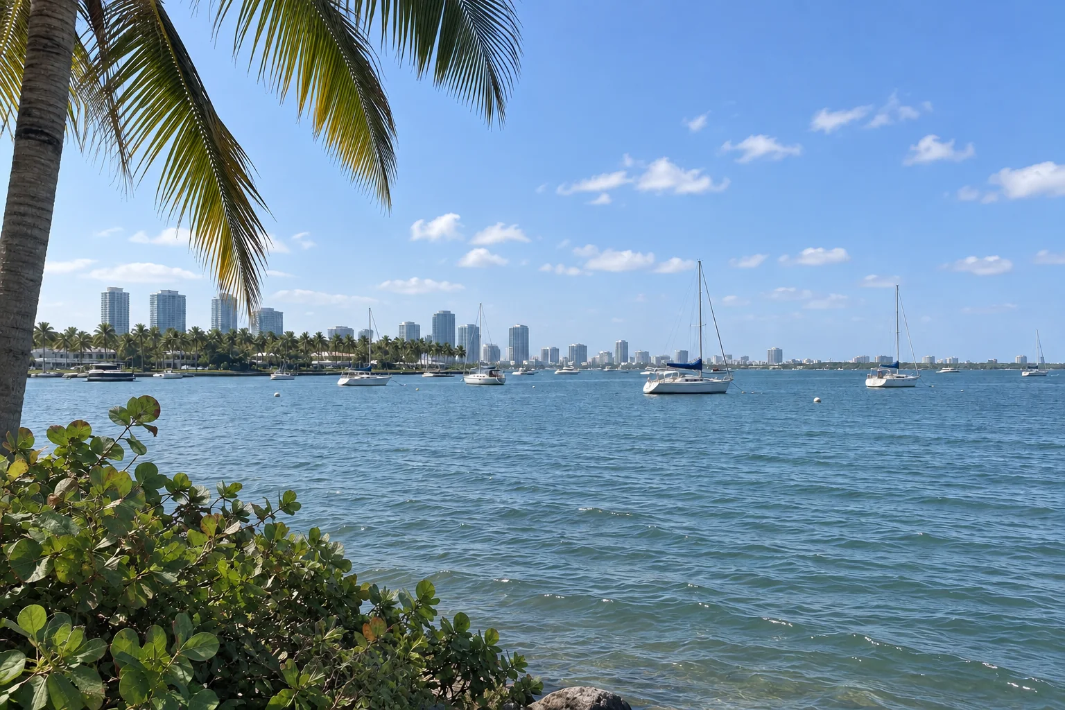 Biscayne Bay from Maurice Gibb Memorial Park