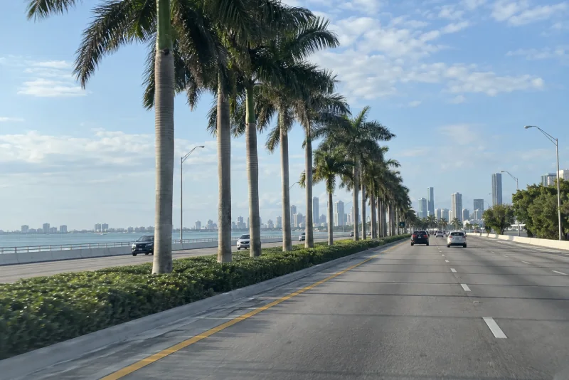 Royal palms along the MacArthur Causeway road beside Biscayne Bay