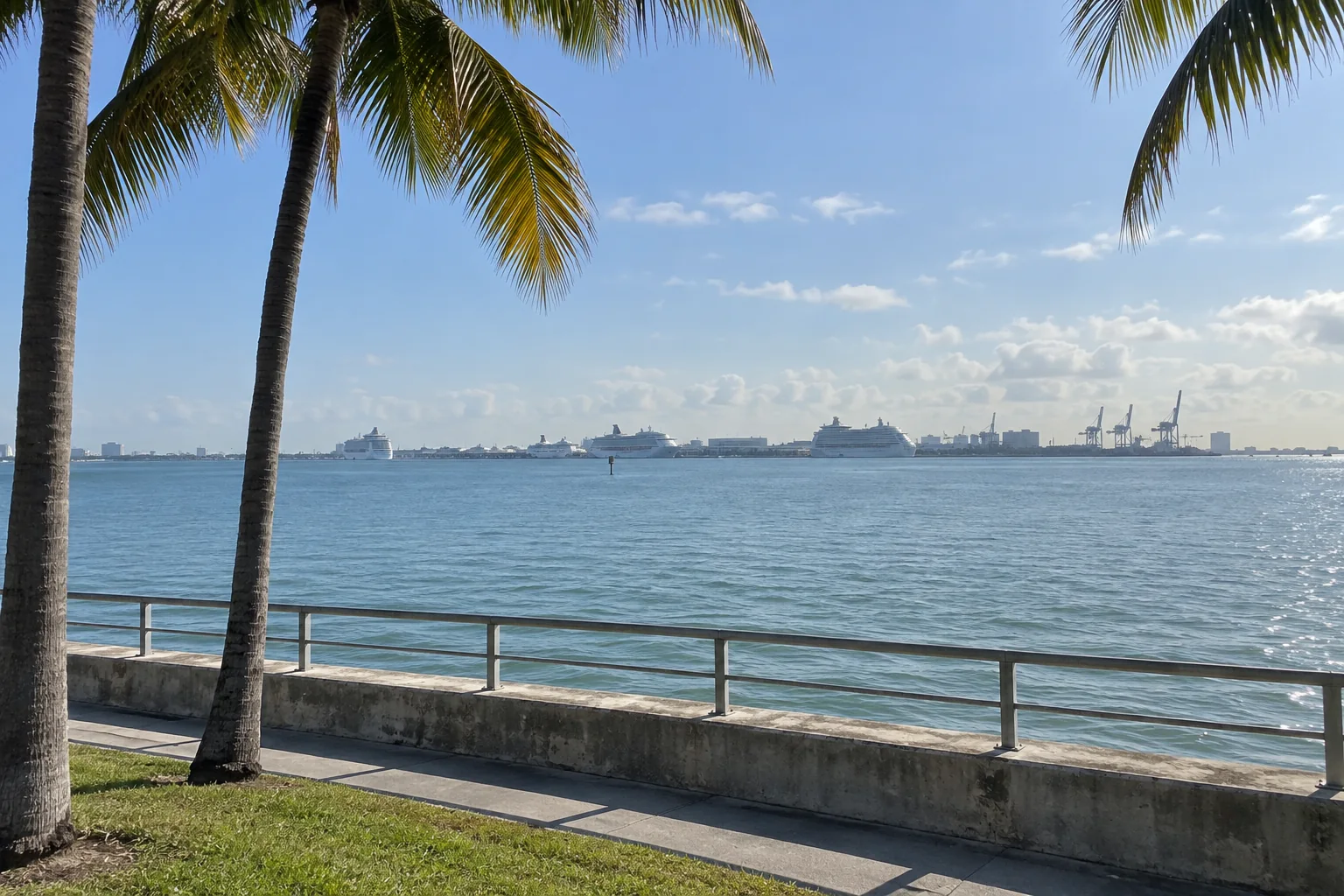 Cruise ships docked at PortMiami, seen across Biscayne Bay from a palm-lined seawall on the downtown Miami waterfront