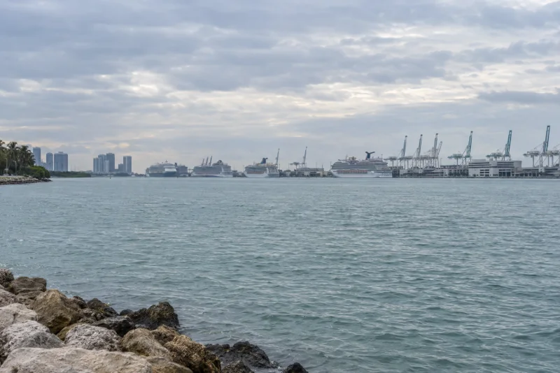 Cruise ships docked at PortMiami seen across the water
