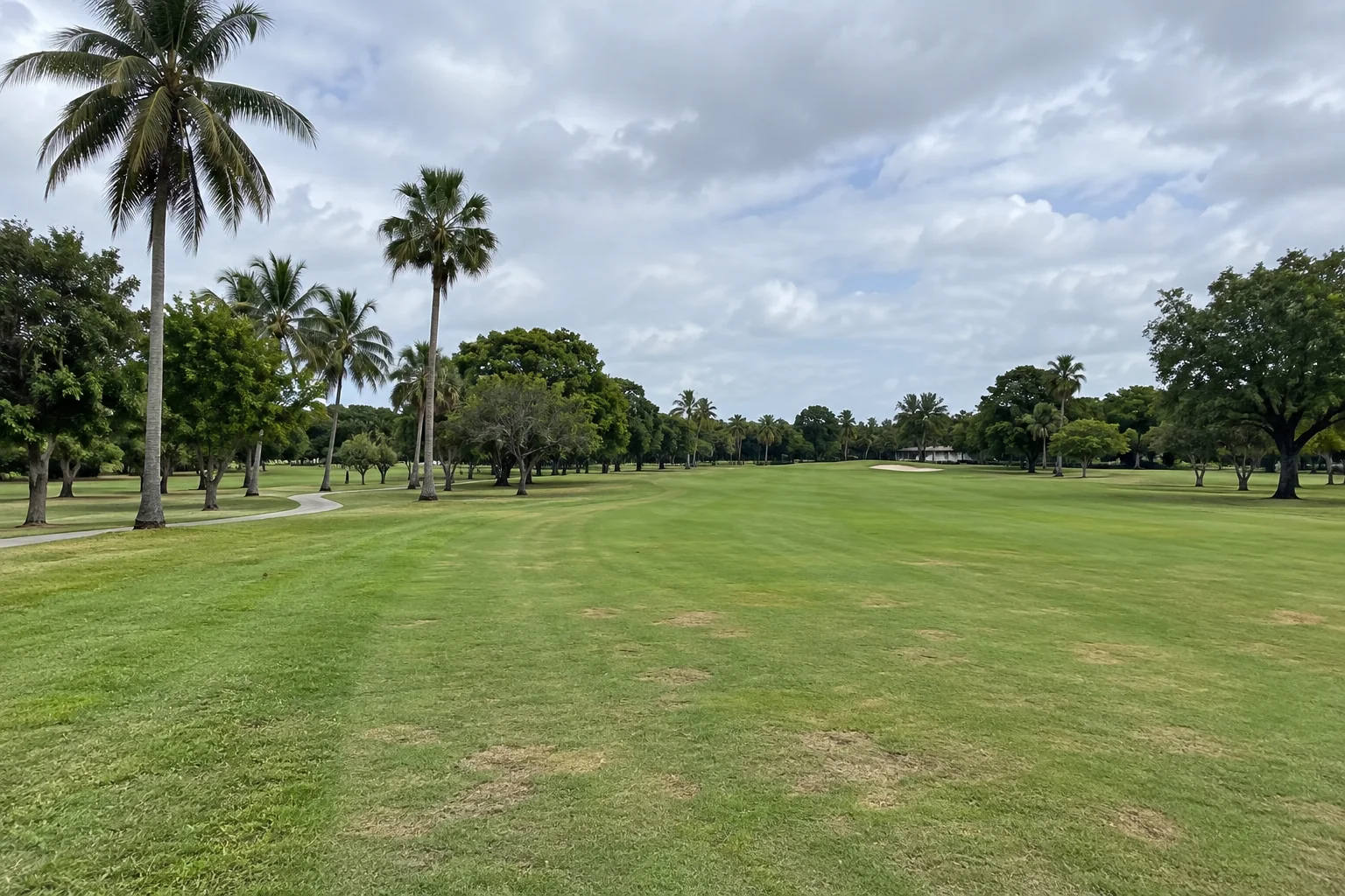 The Miami Springs golf course
